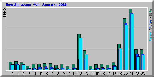 Hourly usage for January 2016