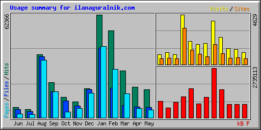 Usage summary for ilanaguralnik.com